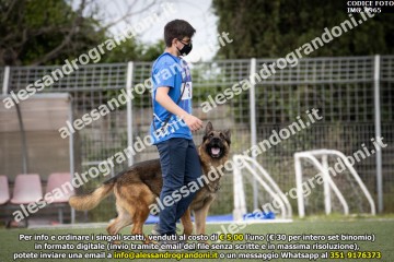 IMG_9965.jpg
