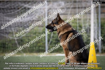 IMG_9973.jpg
