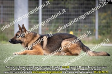 IMG_9976.jpg