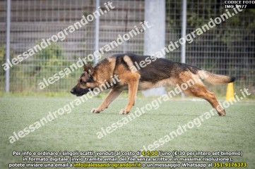 IMG_9977.jpg