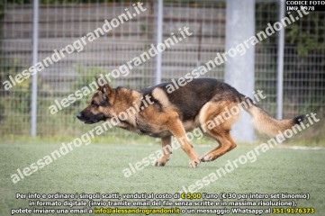 IMG_9978.jpg