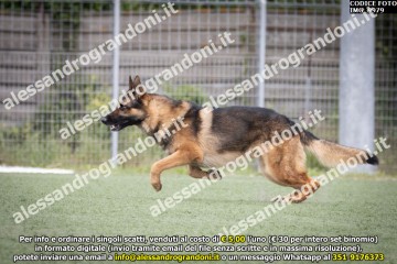 IMG_9979.jpg