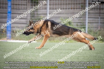 IMG_9980.jpg