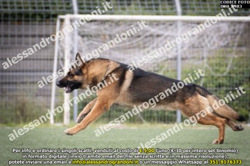 IMG_9983.jpg