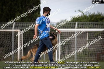 IMG_9995.jpg