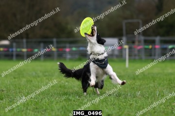IMG_0496.jpg