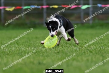 IMG_0545.jpg