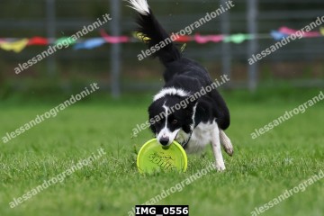 IMG_0556.jpg