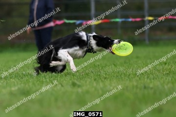 IMG_0571.jpg