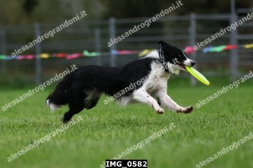 IMG_0582.jpg