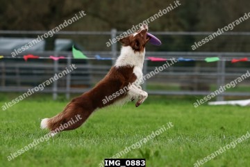 IMG_0883.jpg