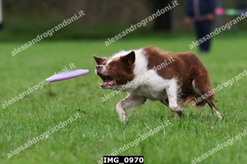 IMG_0970.jpg