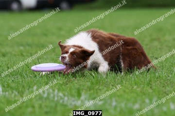 IMG_0977.jpg