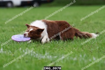 IMG_0978.jpg