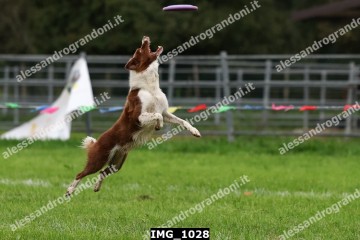 IMG_1028.jpg