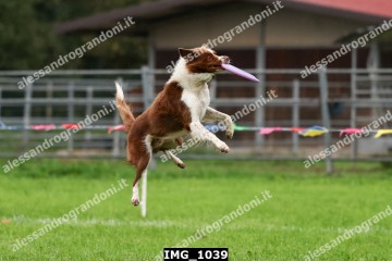 IMG_1039.jpg