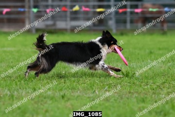 IMG_1085.jpg