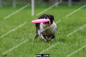 IMG_1092.jpg