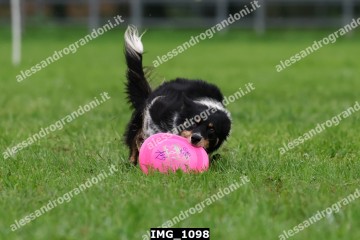 IMG_1098.jpg