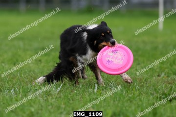 IMG_1109.jpg