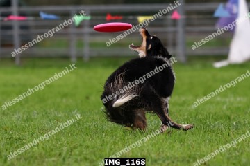 IMG_1168.jpg