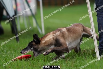 IMG_1215.jpg