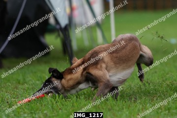 IMG_1217.jpg