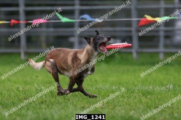IMG_1241.jpg
