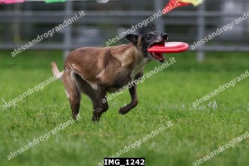 IMG_1242.jpg