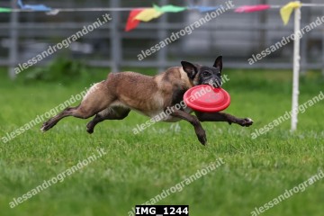 IMG_1244.jpg