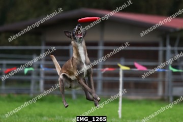IMG_1265.jpg