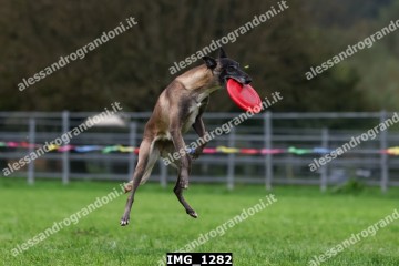 IMG_1282.jpg