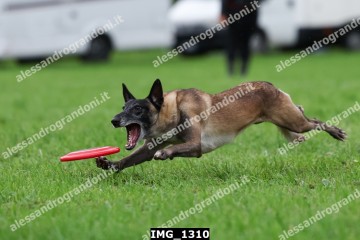 IMG_1310.jpg