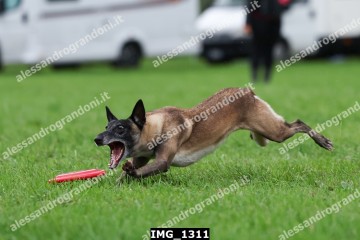 IMG_1311.jpg