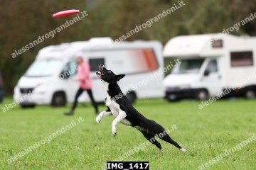 IMG_1417.jpg