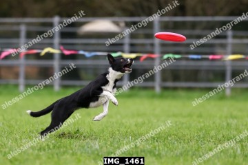 IMG_1461.jpg