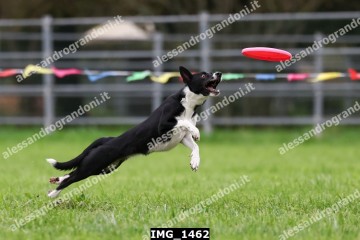 IMG_1462.jpg