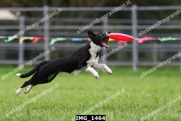 IMG_1464.jpg