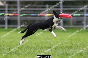 IMG_1465.jpg