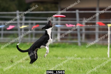 IMG_1503.jpg