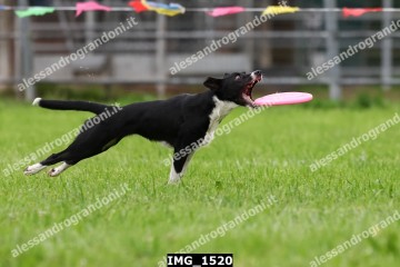 IMG_1520.jpg