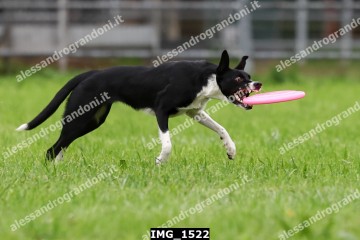 IMG_1522.jpg