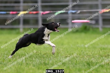 IMG_1527.jpg