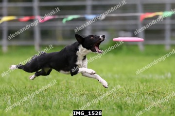 IMG_1528.jpg