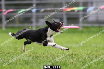 IMG_1529.jpg