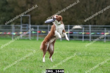 IMG_1648.jpg