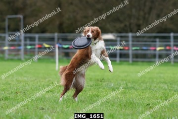 IMG_1651.jpg