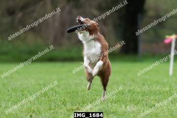 IMG_1684.jpg