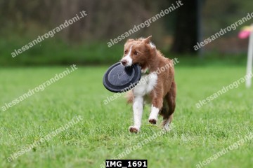 IMG_1691.jpg