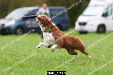 IMG_1720.jpg